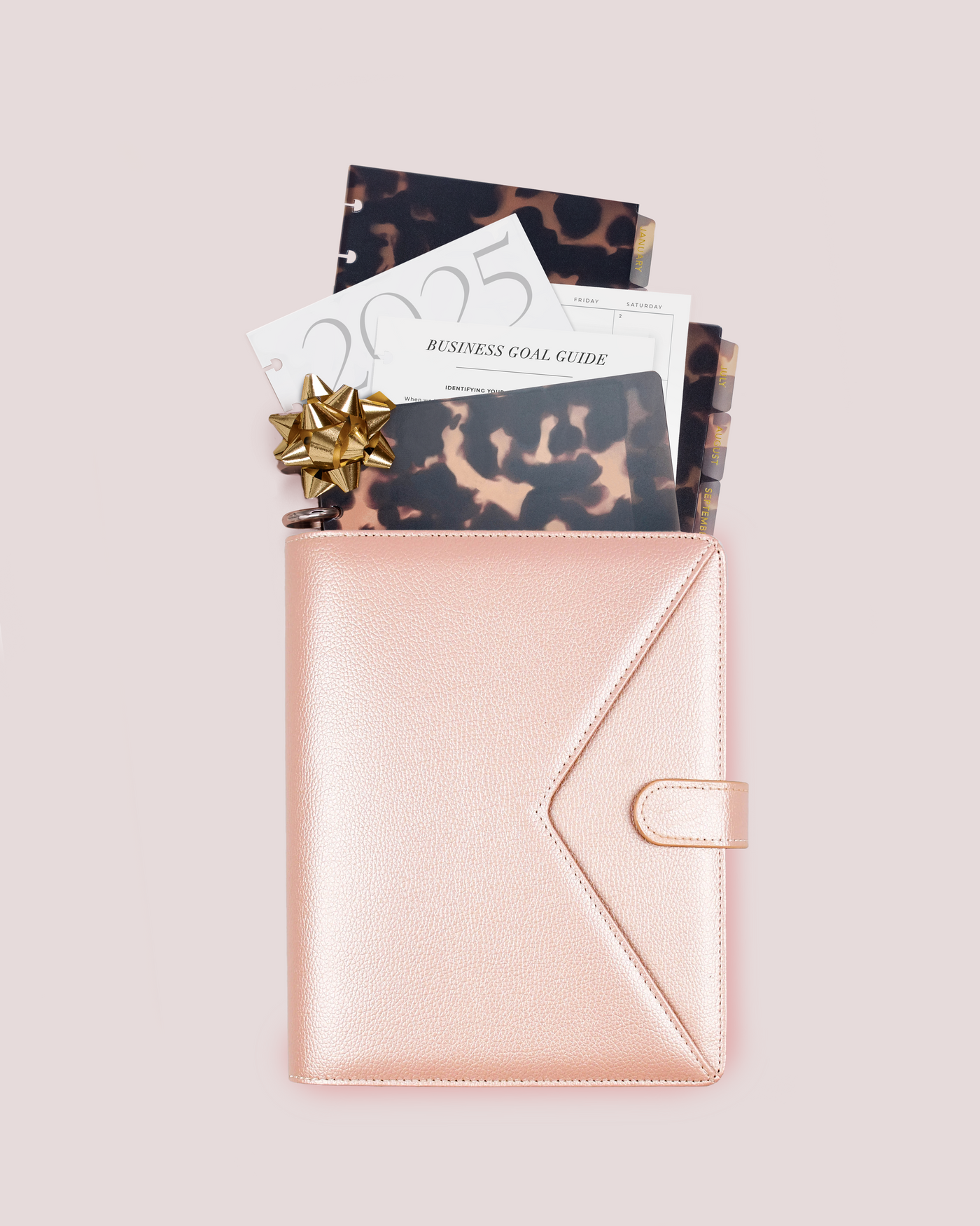 Deluxe Business Bundle – 2025 Annual Business Goal Planner (Champagne Rose Gold)