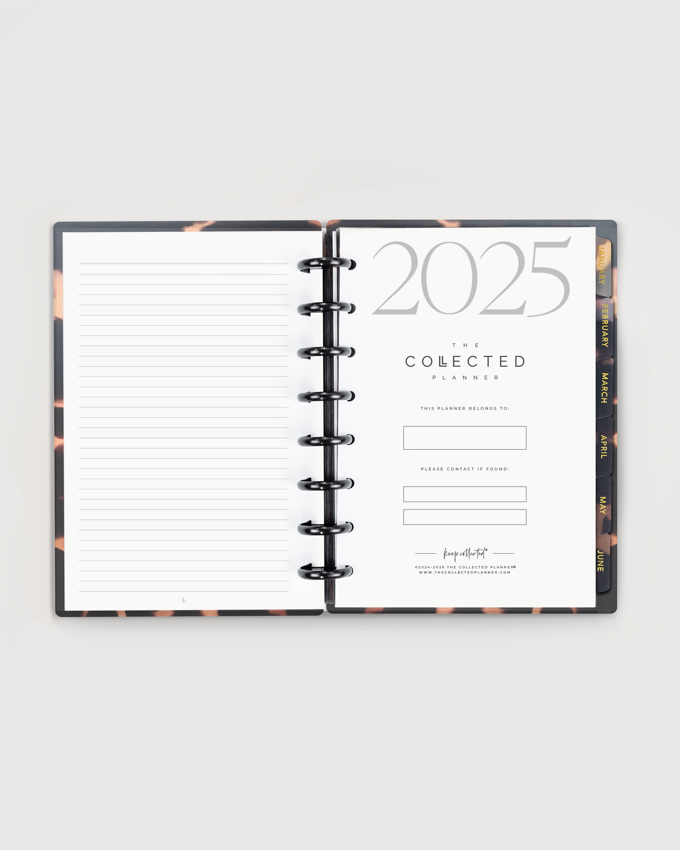 Deluxe Business Bundle – 2025 Annual Business Goal Planner (Nude Rosé Faux Croc)