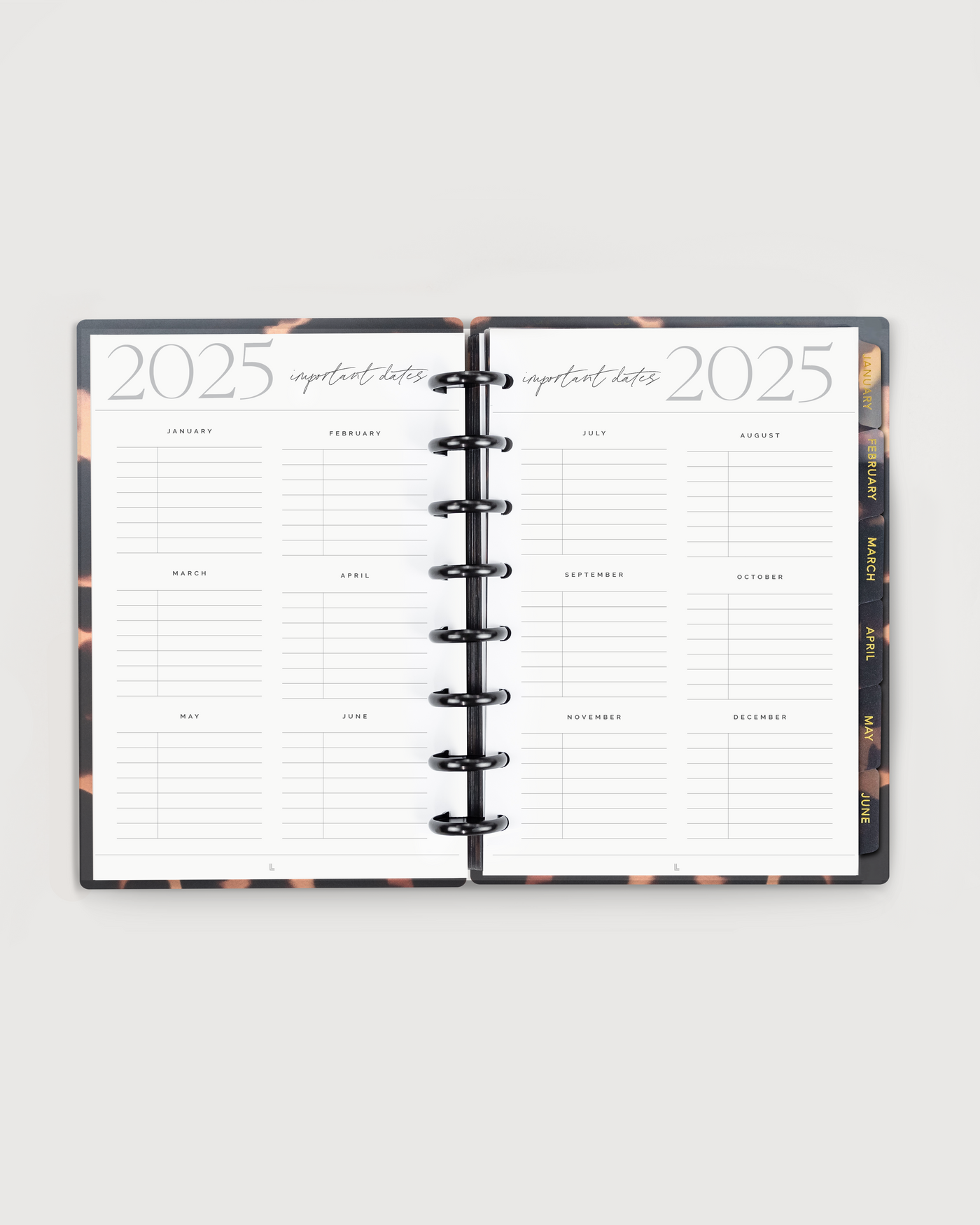 2025 Tortoiseshell Annual Planner - Productivity Edition