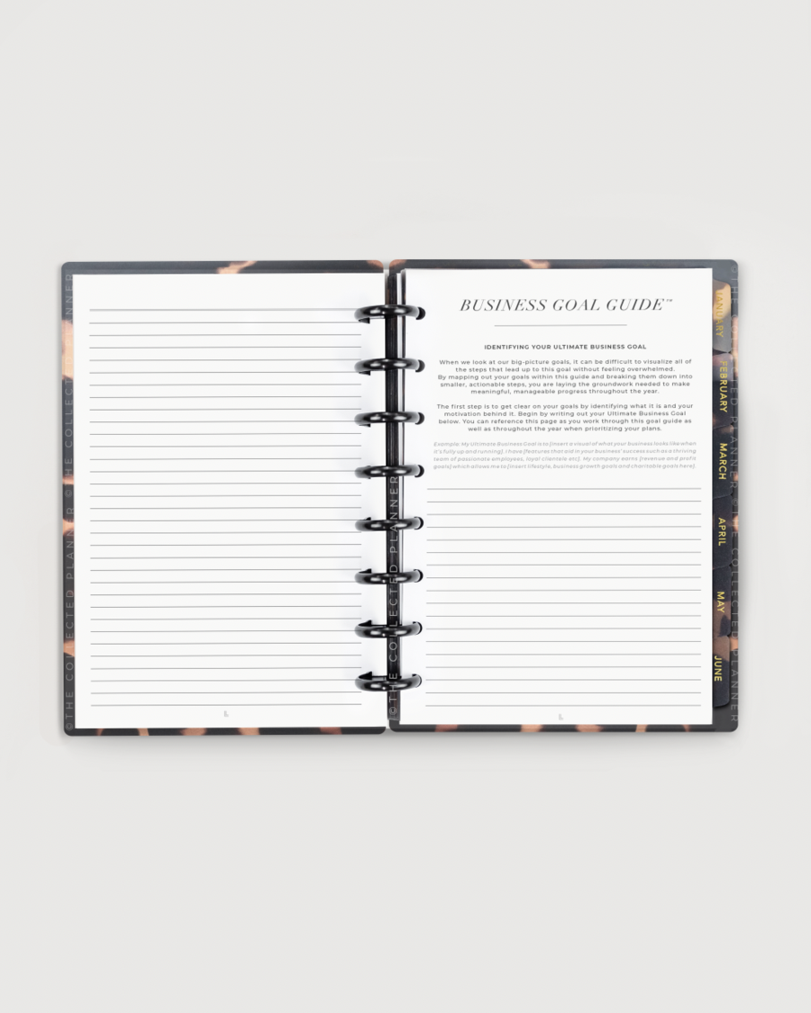 Deluxe Business Bundle in Champagne Rose Gold – 2024 Annual Business Goal Planner