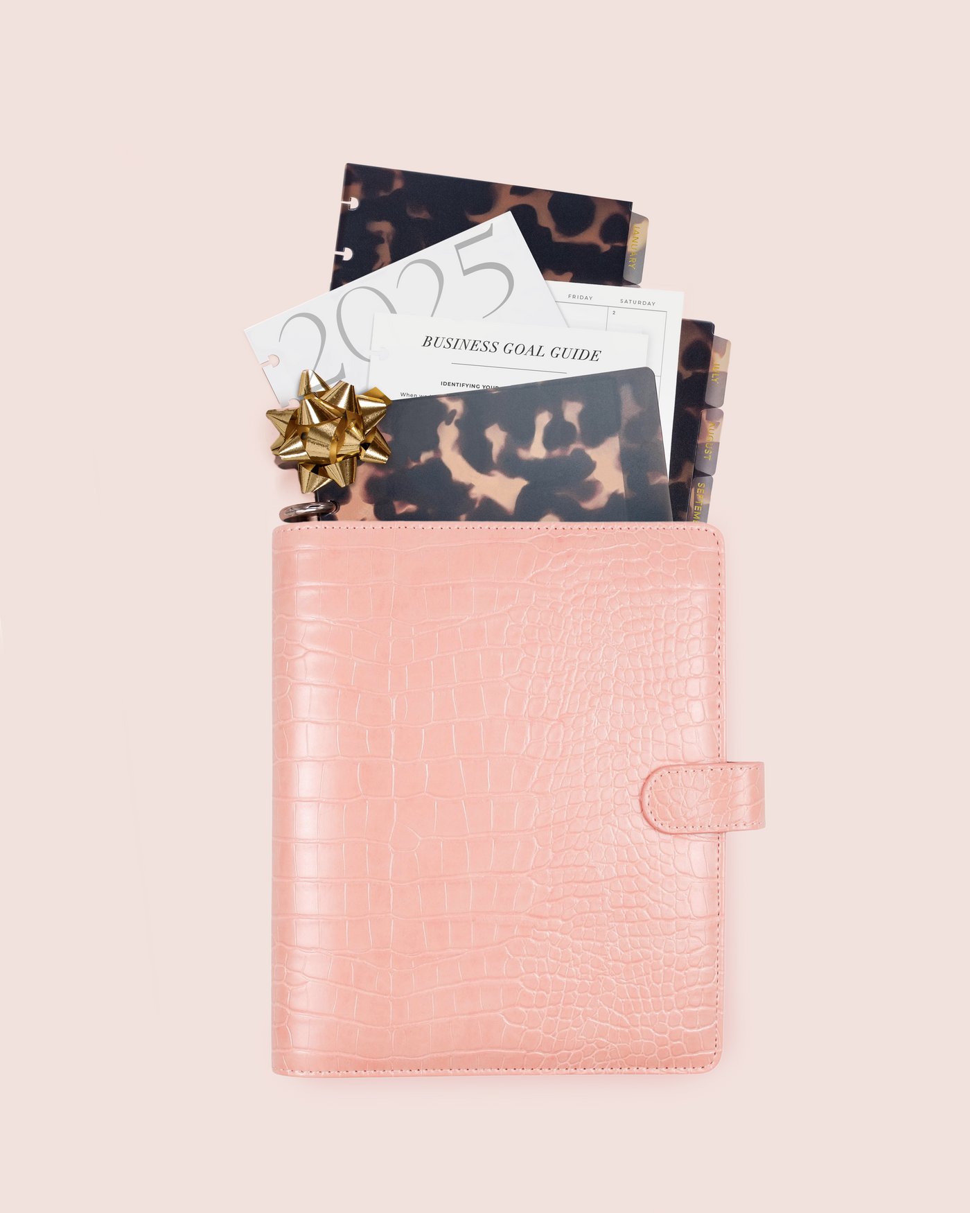 Deluxe Business Bundle – 2025 Annual Business Goal Planner (Nude Rosé Faux Croc)