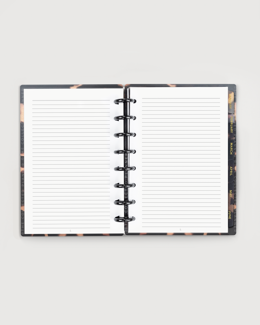 2024 Nude Blush Annual Planner - Productivity Edition
