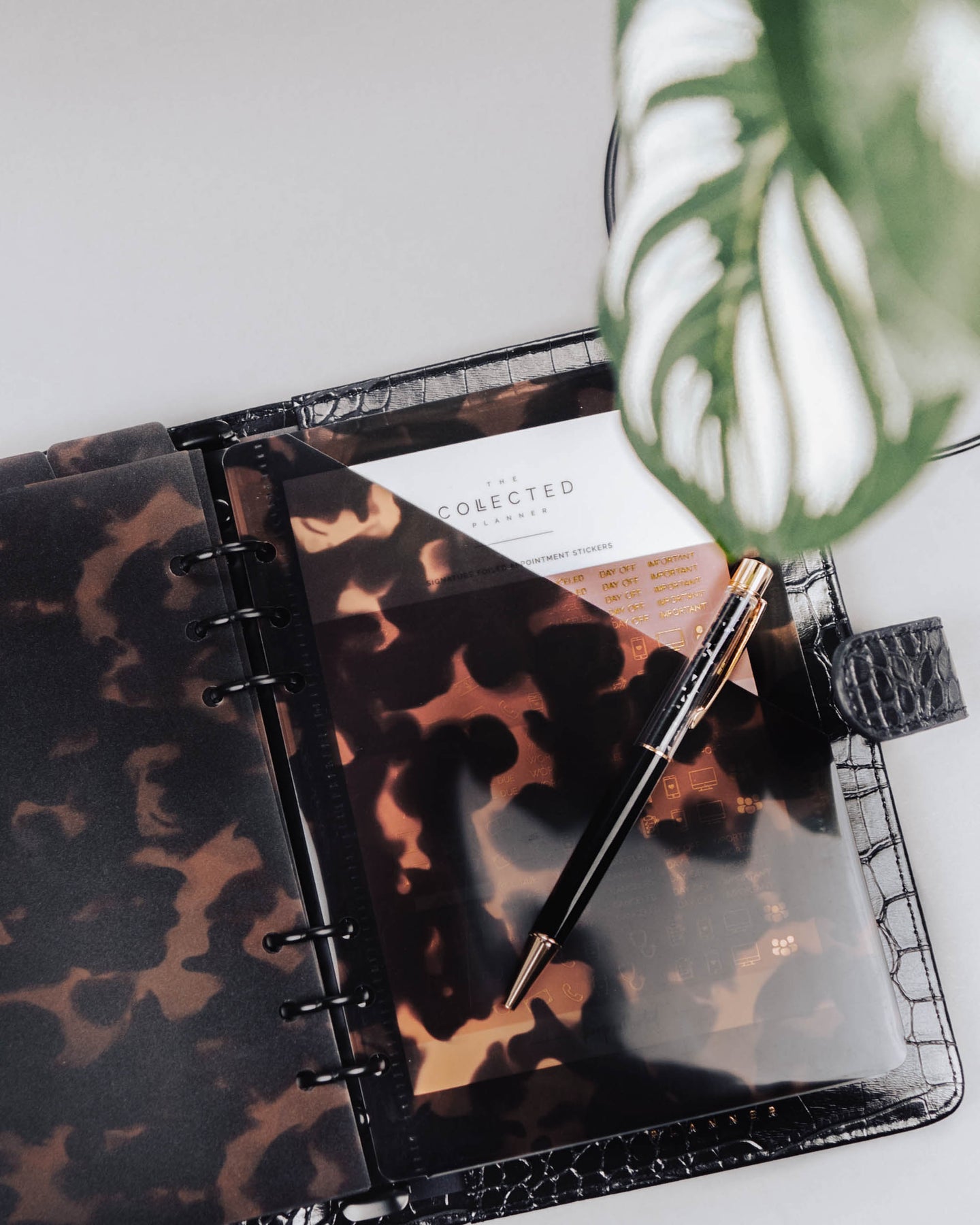 A5 Tortoiseshell Translucent Planner and Agenda Pockets - Leopard β The ...