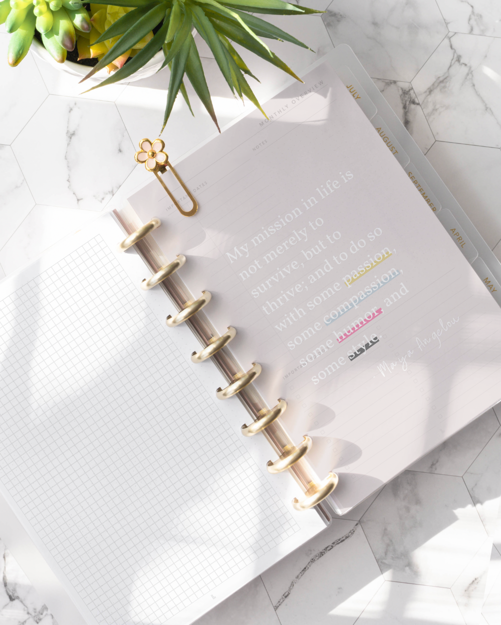 Translucent Overlay Pages | Rose Quote Duo