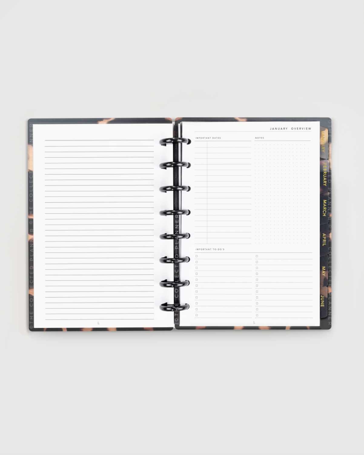 Monthly View of the 2022 Junior Discbound Half Letter Planner Canada USA The Collected Planner Productivity and Business