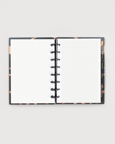 Dots and Graph note pages for disc bound planner